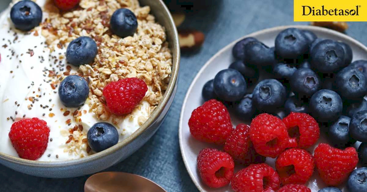Greek Yogurt Tanpa Gula dengan Kacang dan Biji-bijian - Diabetasol