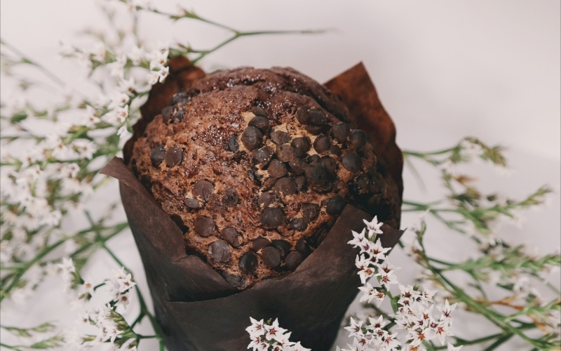 Chocolate Chip Muffins