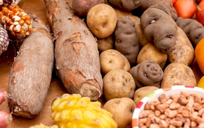 Ini Dia Makanan Pengganti Nasi yang Bisa Dinikmati oleh Diabetesi
